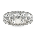 81533678